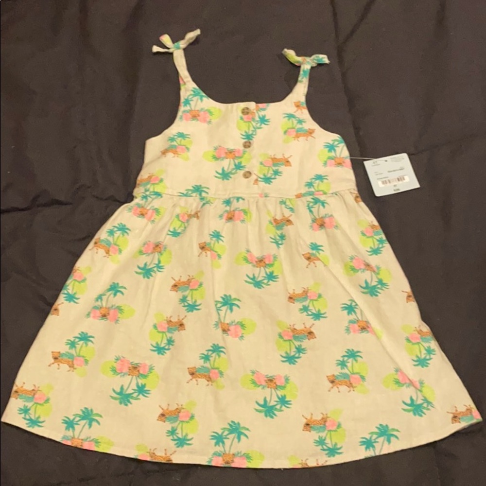 Shirt Dress